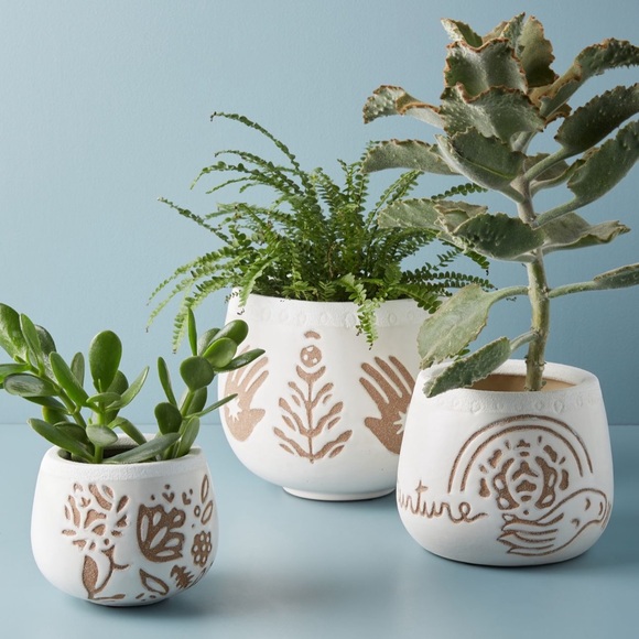 New Anthropologie Gaia Planting Pot Size Large Gorgeous Garden Accessories - Picture 3 of 3